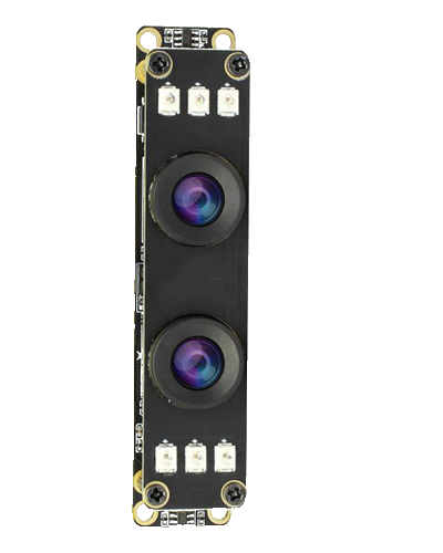 雙目91免费视频污模組