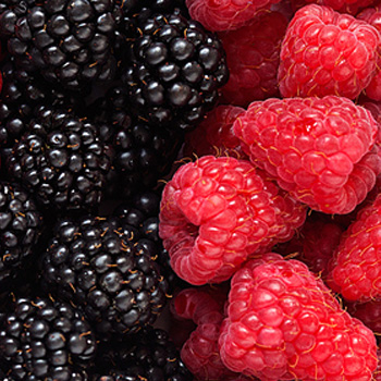 手把手教你如何選擇視頻會議USB91免费视频污