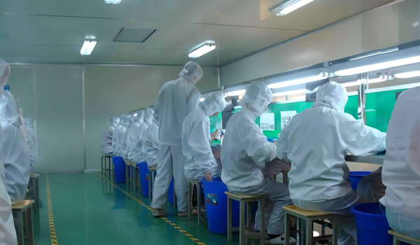 91免费视频污模組